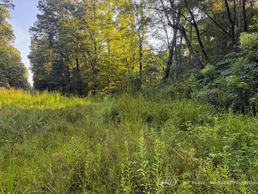 Opportunities to own smaller acreage with both homesite - photo 33