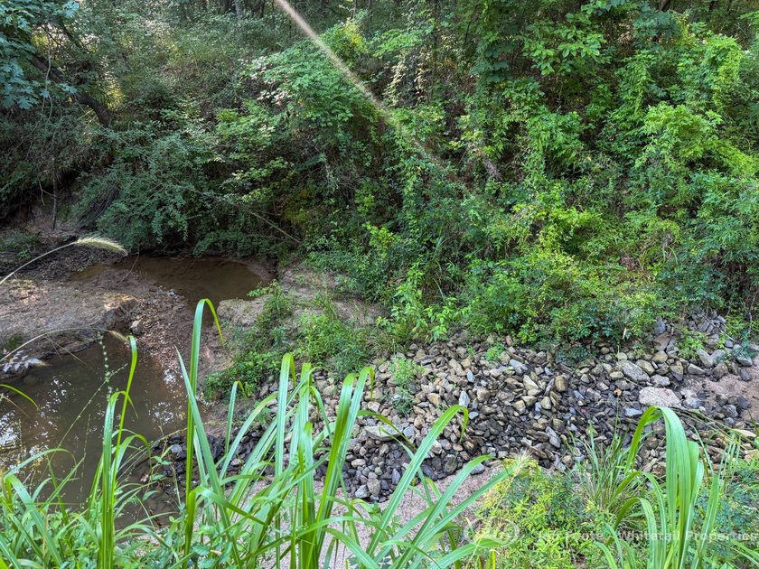 Opportunities to own smaller acreage with both homesite - photo 34