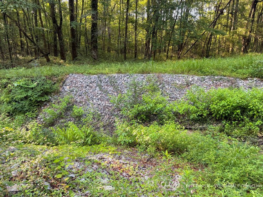 Opportunities to own smaller acreage with both homesite - photo 35