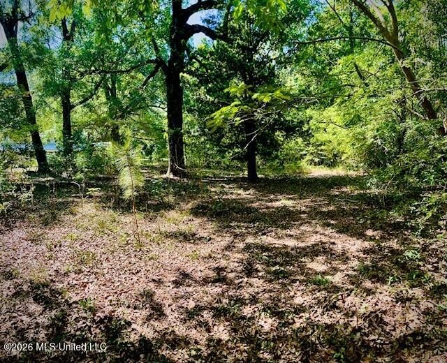 Looking for land in all the wrong places? Here's a piece of - photo 11