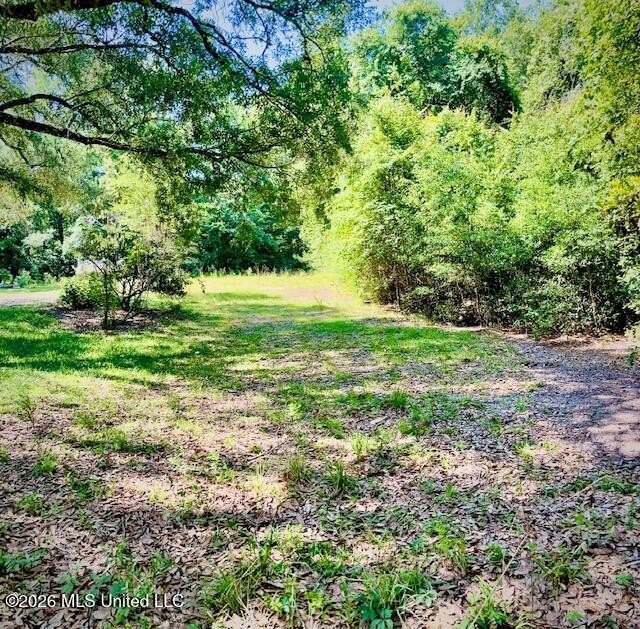 Looking for land in all the wrong places? Here's a piece of - photo 12