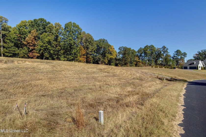 Situated within the gated community of Gray's Creek, this nearly - photo 13