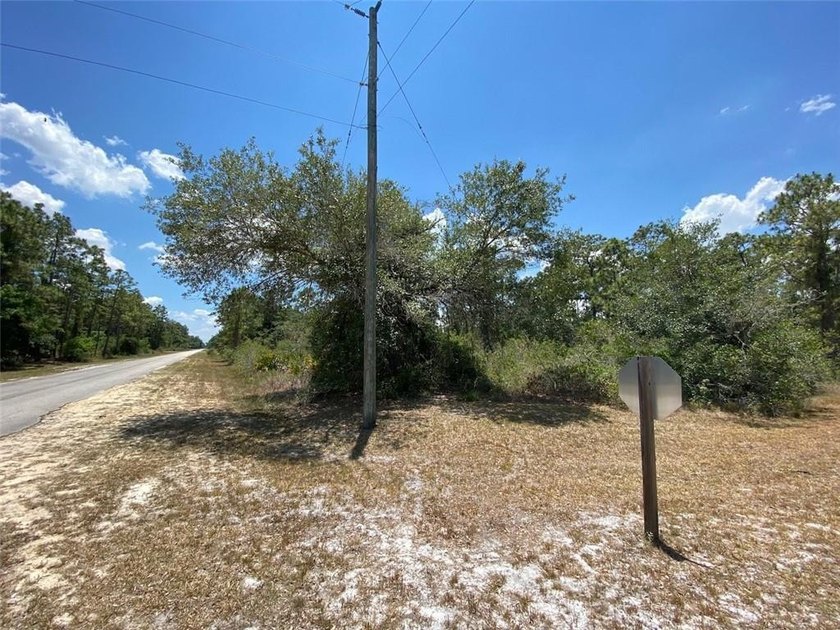 Rural Living at its best! Enjoy inexpensive golf on an improved - photo 3
