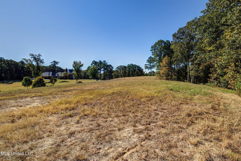 Situated within the gated community of Gray's Creek, this nearly - photo 15