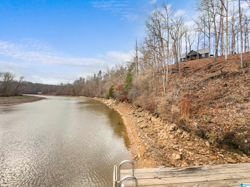 This 11+/- acre property in Randolph County, Alabama, features a - photo 11