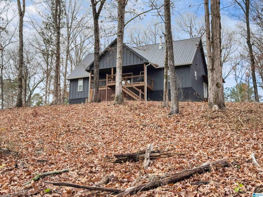 This 11+/- acre property in Randolph County, Alabama, features a - photo 15