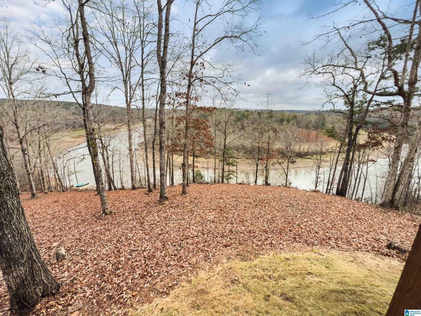 This 11+/- acre property in Randolph County, Alabama, features a - photo 18