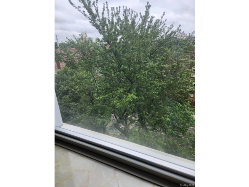 2 Bedroom conveniently located in Spuyten Duyvil with 1 Bathroom - photo 6