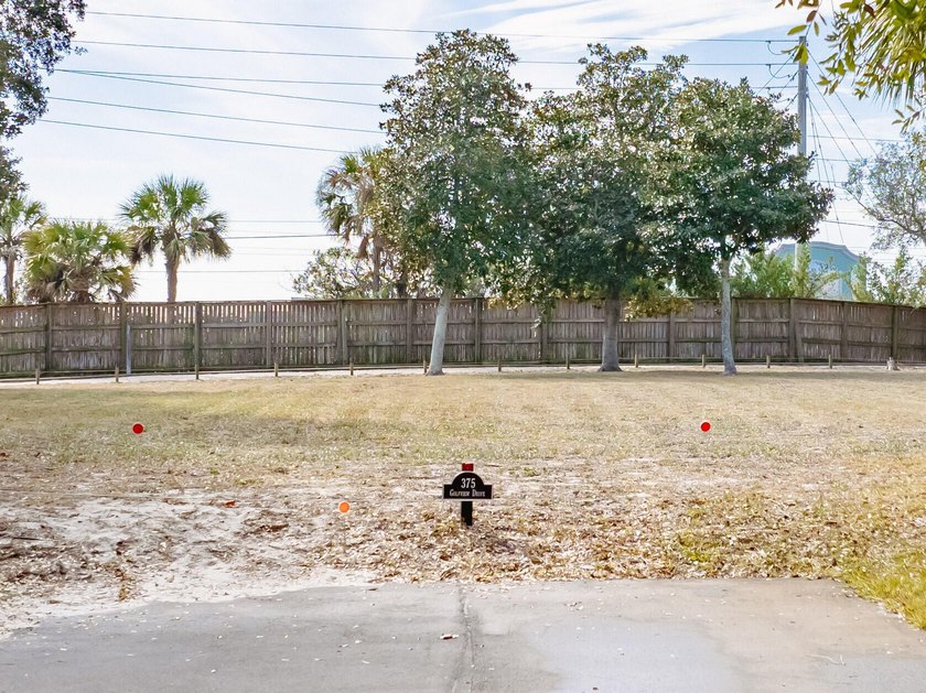 One of only 24 remaining homesites in Sandestin. As the largest - photo 8