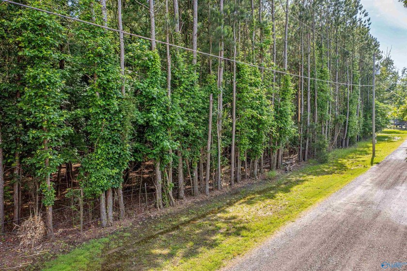 The Perfect Recreational Lot - Your Outdoor Escape Awaits - photo 18