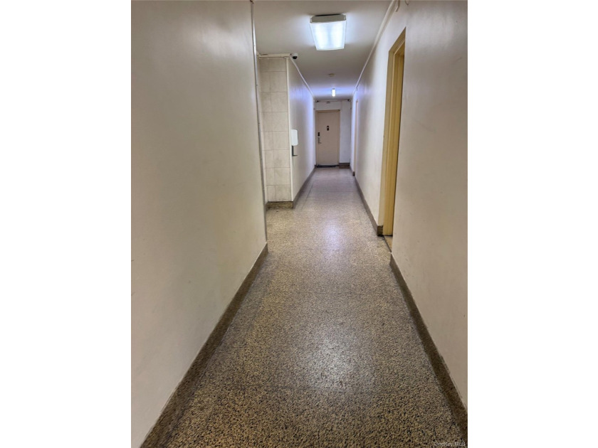 In the heart of Jamaica, this excellent apartment is close to - photo 4