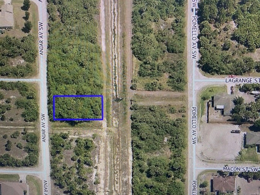 Perfect lot to build your dream home in the BOOMING area of Palm - photo 3