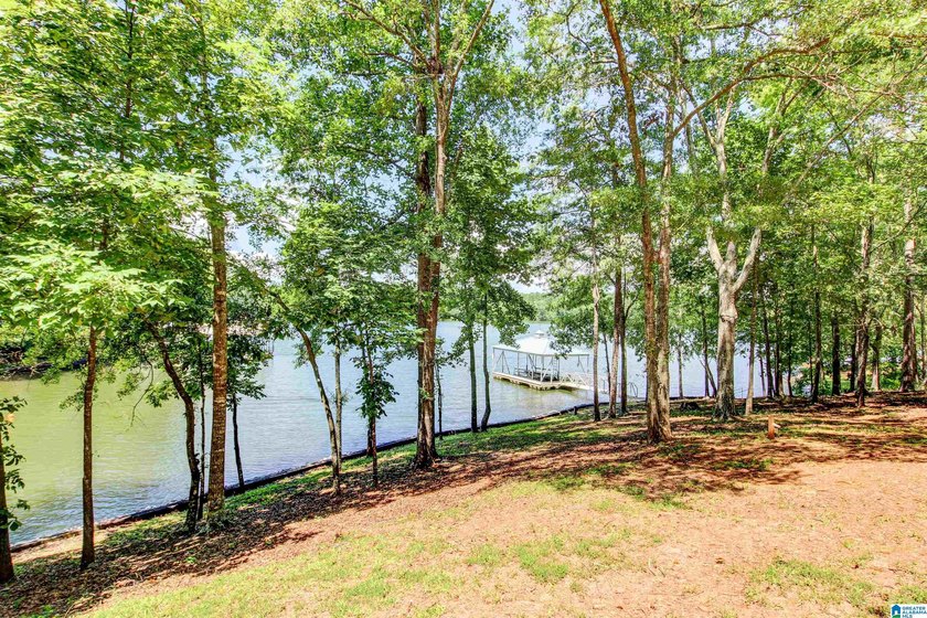 Beautiful Lake Wedowee Home - Wide Water Views, Boat &amp; More! - photo 31