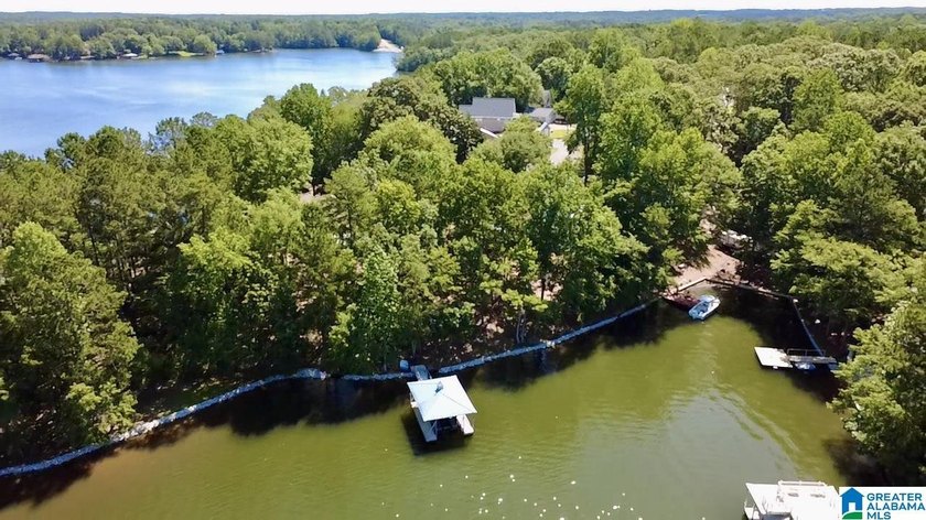 Beautiful Lake Wedowee Home - Wide Water Views, Boat &amp; More! - photo 34