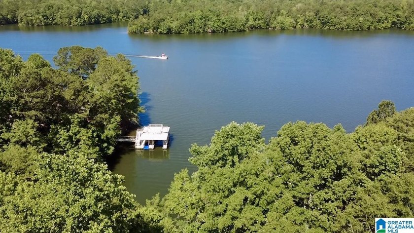 Beautiful Lake Wedowee Home - Wide Water Views, Boat &amp; More! - photo 35