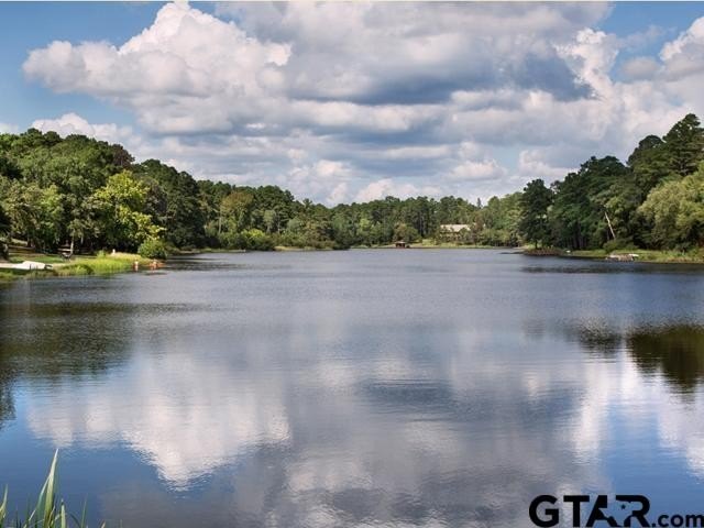 Discover the perfect East Texas retreat in the highly - photo 37