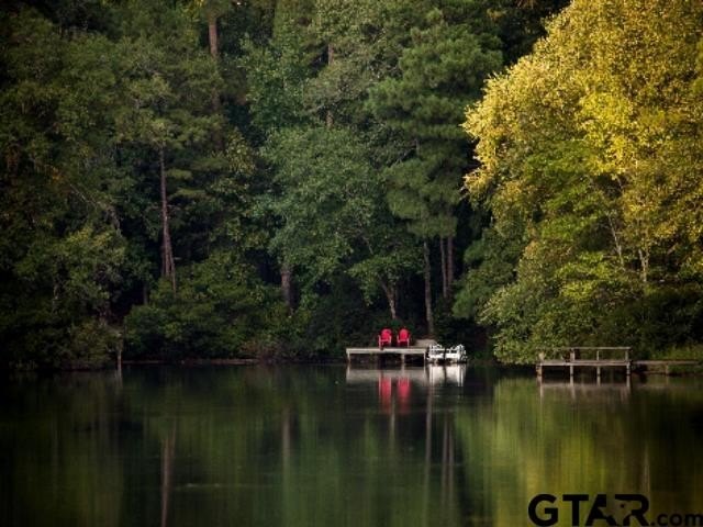 Discover the perfect East Texas retreat in the highly - photo 41