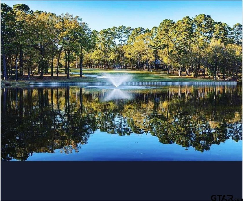 Discover the perfect East Texas retreat in the highly - photo 42