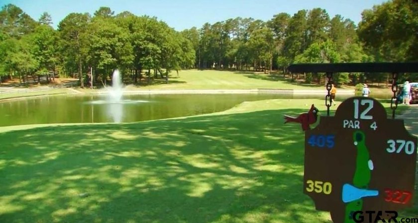 Discover the perfect East Texas retreat in the highly - photo 43