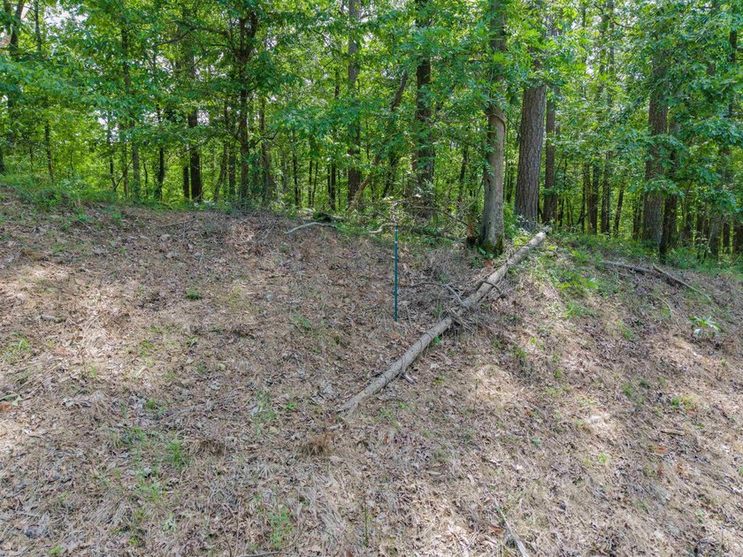 Here is a wonderful opportunity for you to own almost 2 acres of - photo 13