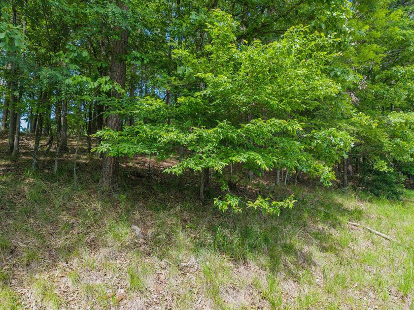 Here is a wonderful opportunity for you to own almost 2 acres of - photo 22