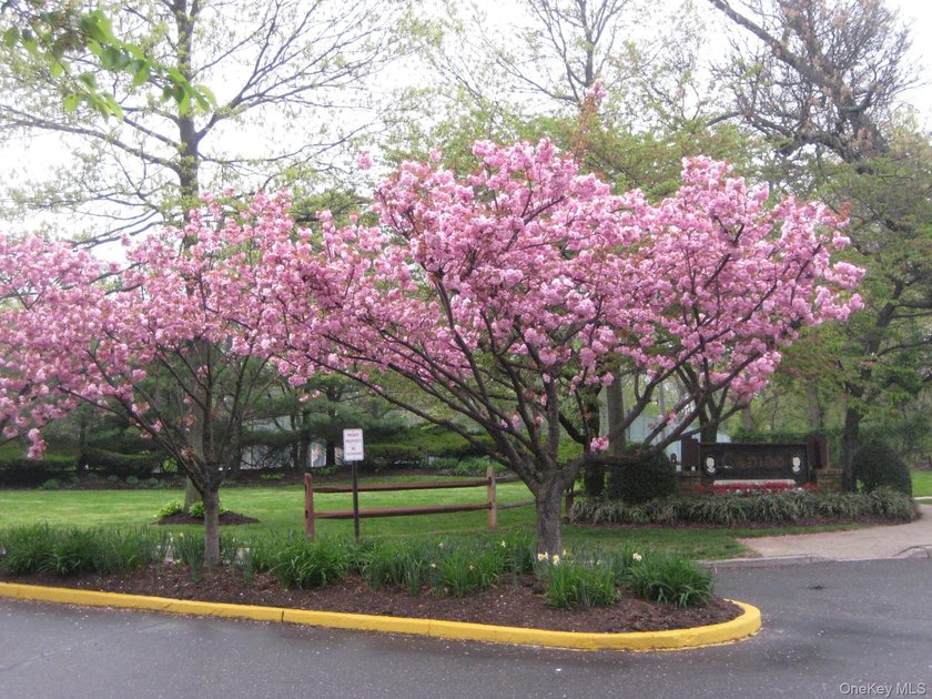 Cameo Townhouses is the best kept secret place to live! This - photo 4