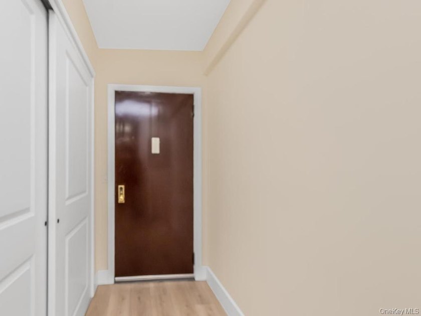 Great Opportunity to own this gorgeous 1 Bedroom 1 Bath co op - photo 12