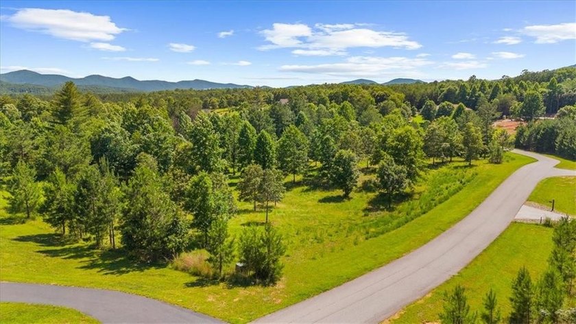Exceptional 4.81-acre partially cleared lot in the gated - photo 5
