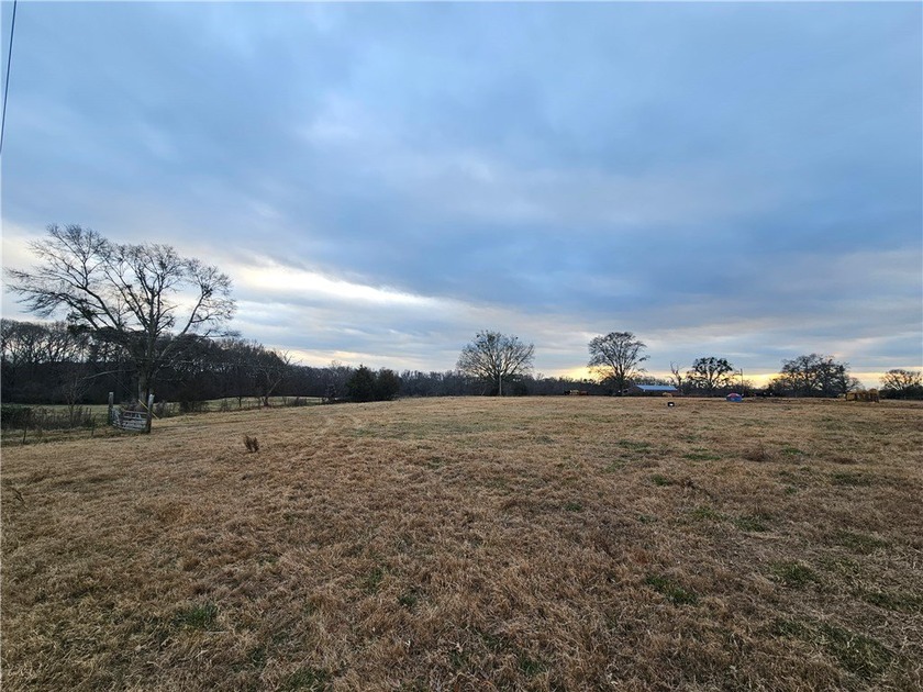 large cattle farm that is well over 100 acres. This property - photo 3