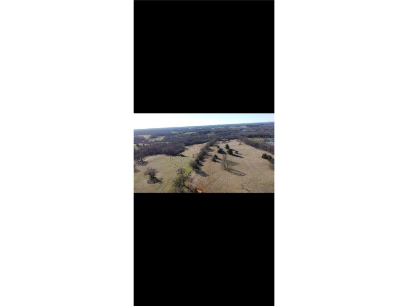 large cattle farm that is well over 100 acres. This property - photo 5