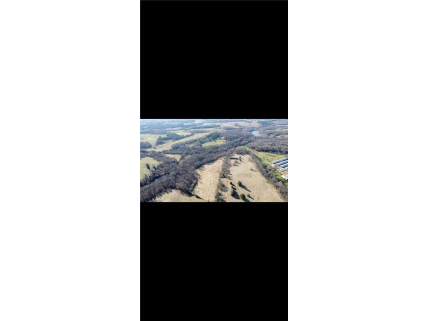 large cattle farm that is well over 100 acres. This property - photo 7