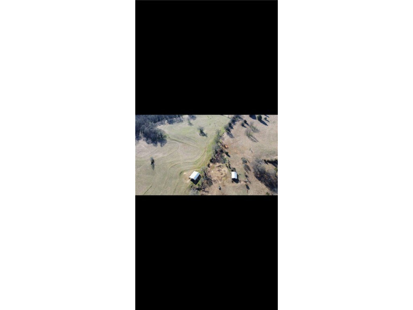 large cattle farm that is well over 100 acres. This property - photo 8