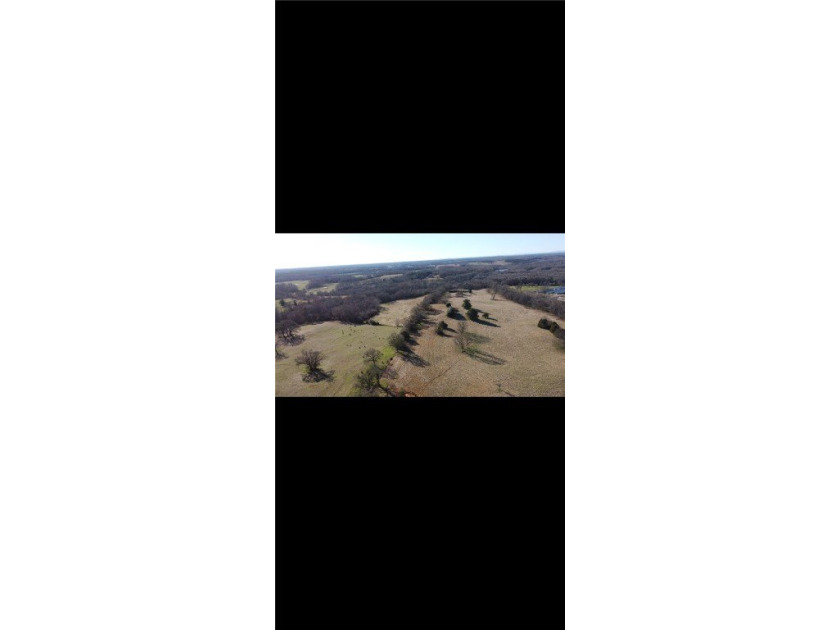 large cattle farm that is well over 100 acres. This property - photo 10