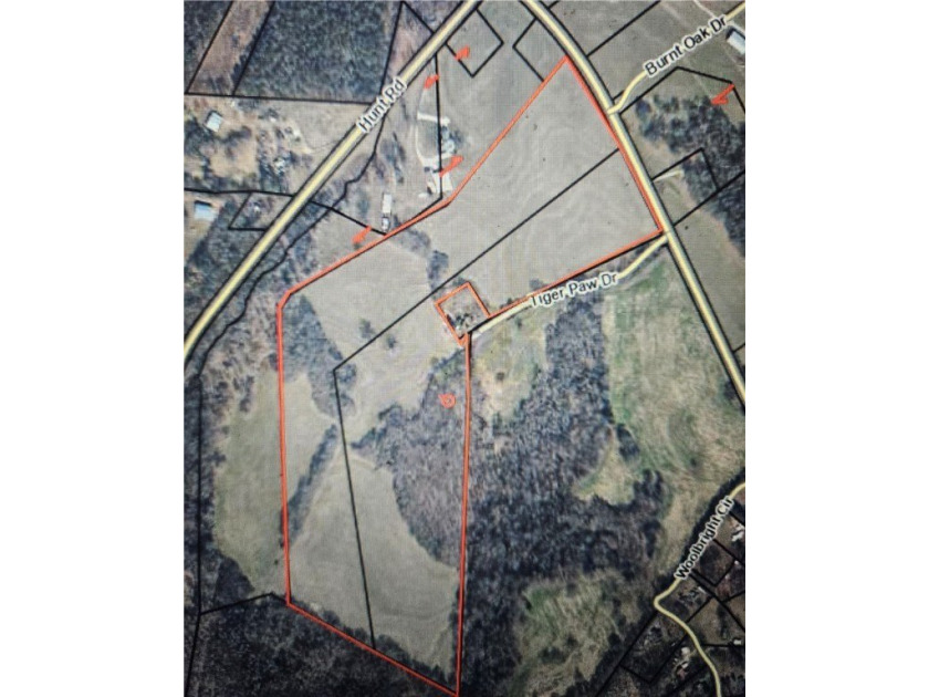 Very open unrestricted land with some mixed hardwoods. Property - photo 2