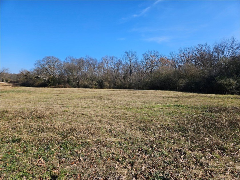 Very open unrestricted land with some mixed hardwoods. Property - photo 4