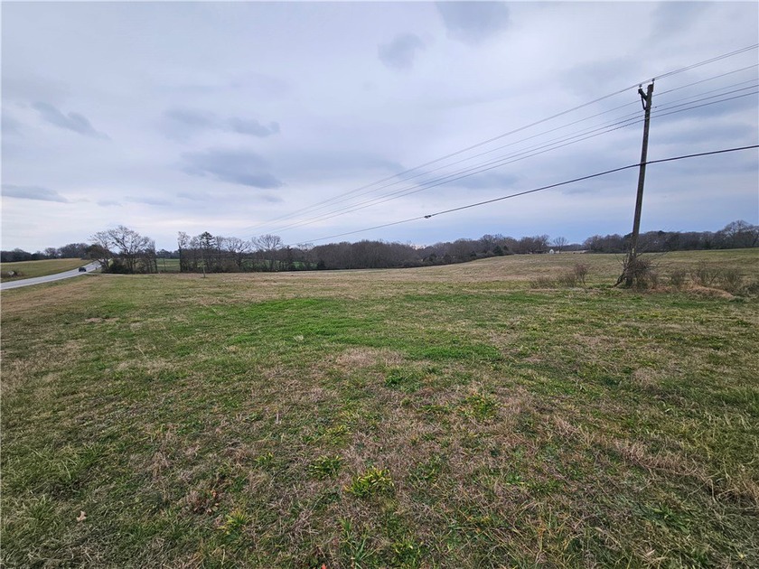 Very open unrestricted land with some mixed hardwoods. Property - photo 5