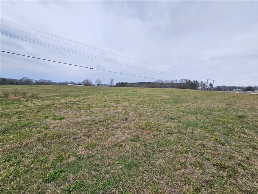 Very open unrestricted land with some mixed hardwoods. Property - photo 6