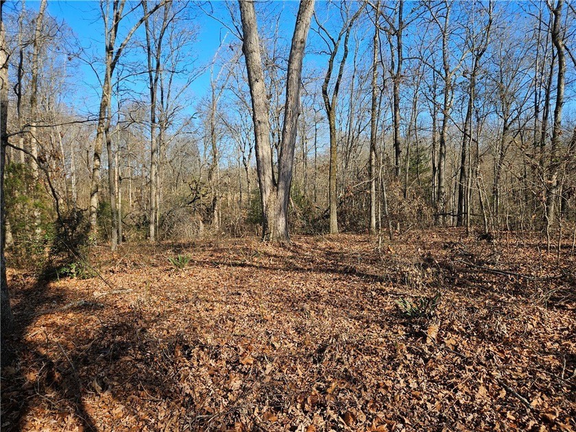 Very open unrestricted land with some mixed hardwoods. Property - photo 7