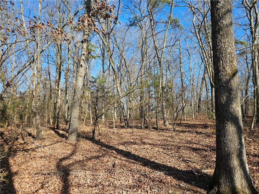 Very open unrestricted land with some mixed hardwoods. Property - photo 8