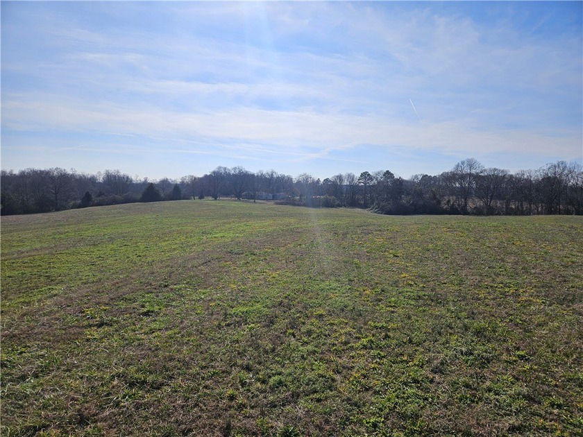 Very open unrestricted land with some mixed hardwoods. Property - photo 10