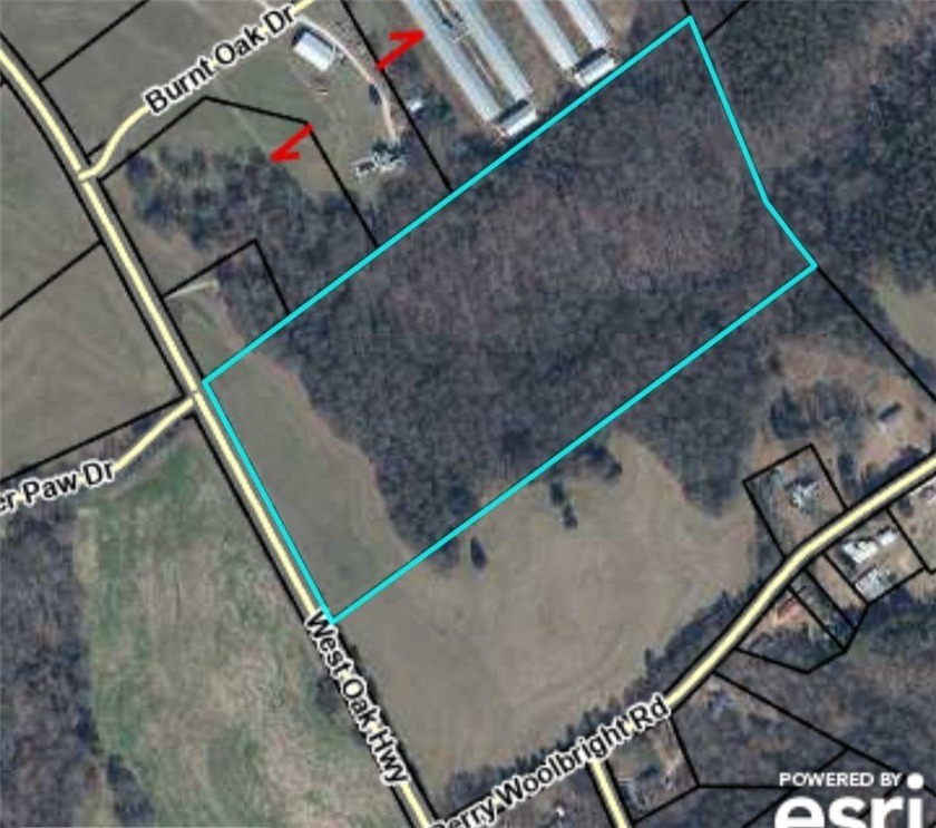 Unrestricted land with almost 4 acres of pasture for building a - photo 2