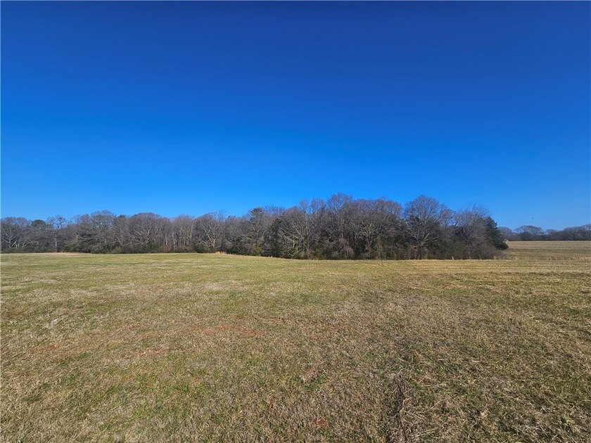 Unrestricted land with almost 4 acres of pasture for building a - photo 3