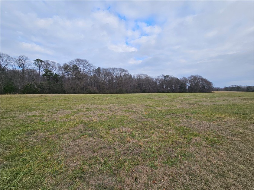 Unrestricted land with almost 4 acres of pasture for building a - photo 4