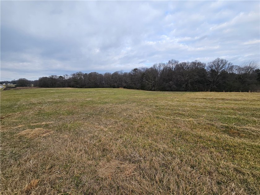 Unrestricted land with almost 4 acres of pasture for building a - photo 6