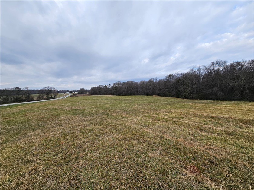 Unrestricted land with almost 4 acres of pasture for building a - photo 7