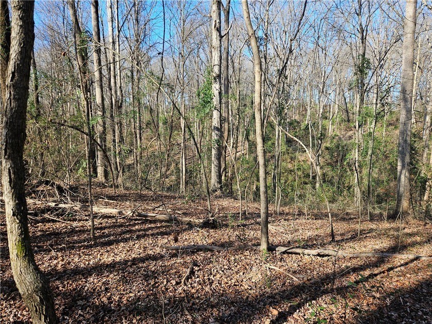 Unrestricted land with almost 4 acres of pasture for building a - photo 9