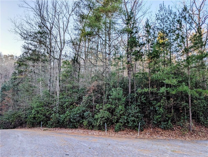 Lake Keowee Interior Home Site located in the Gated Subdivision - photo 9