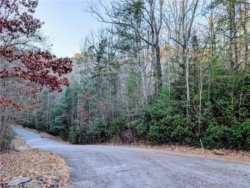 Lake Keowee Interior Home Site located in the Gated Subdivision - photo 10