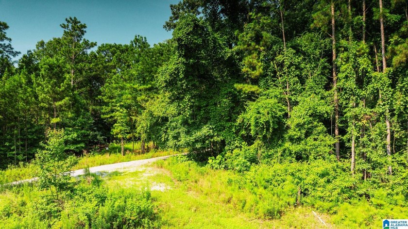Discover 36.1 acres of wooded land offering privacy, lake views - photo 18