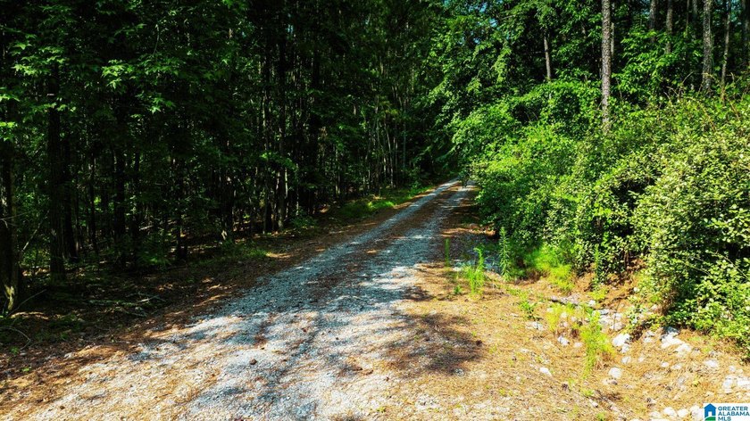 Discover 36.1 acres of wooded land offering privacy, lake views - photo 19